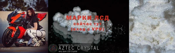 стафф Аркадак