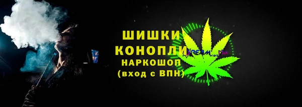 гашик Арсеньев