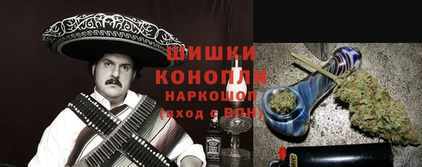 прущие грибы Слюдянка